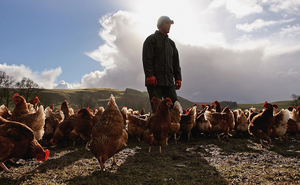 Jeff J Mitchell / Getty Images