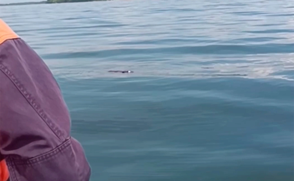 МЧС Приморского края