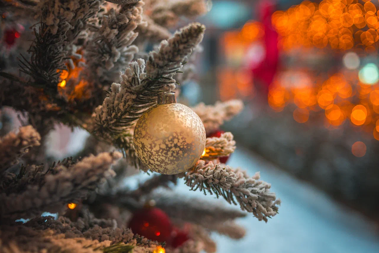 Фото: Антон Буценко, 66.RU