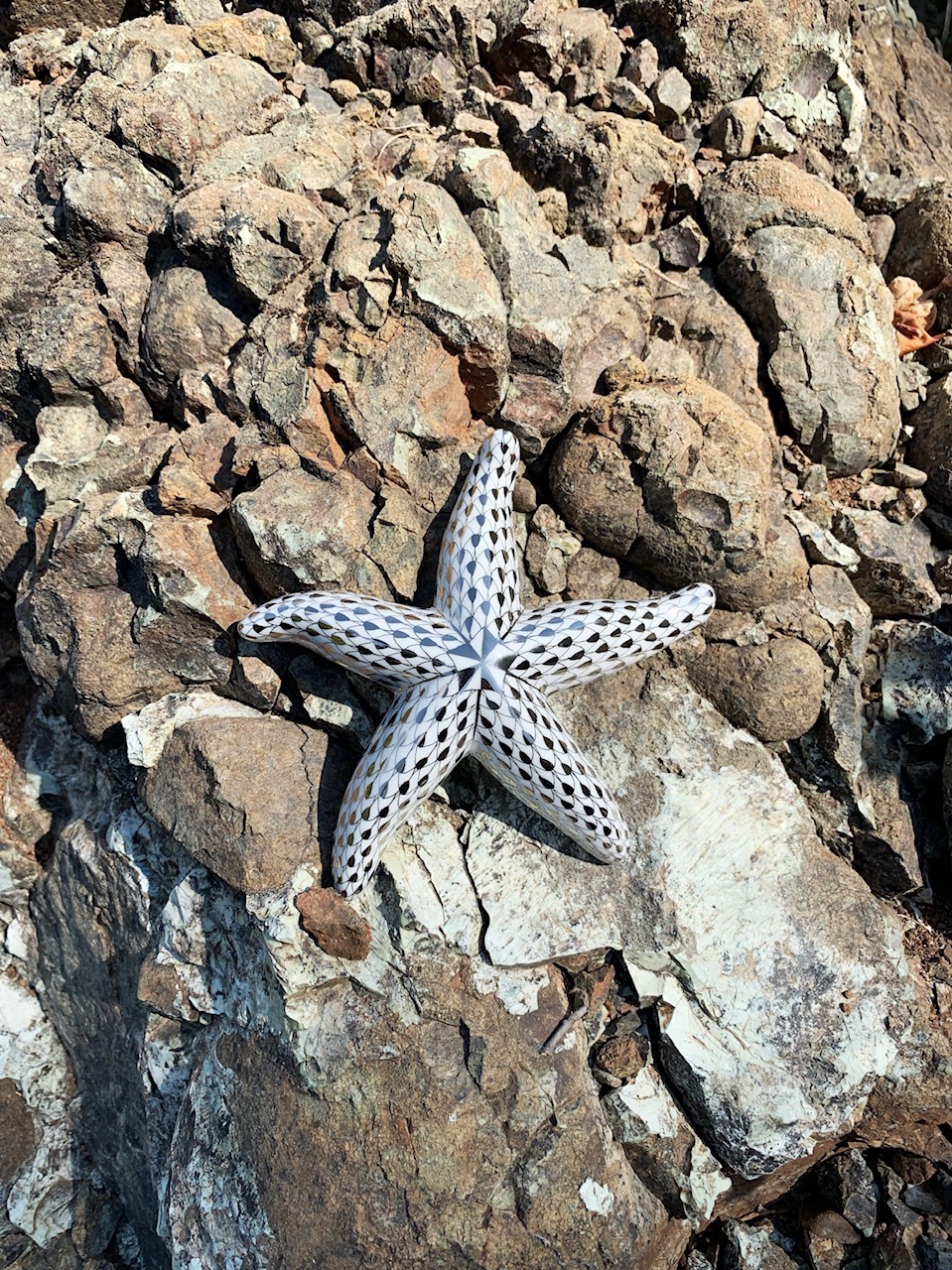 Фигурка в виде морской звезды Herend в окрестностях заповедных лесов и окаменелостей, D Maris Bay