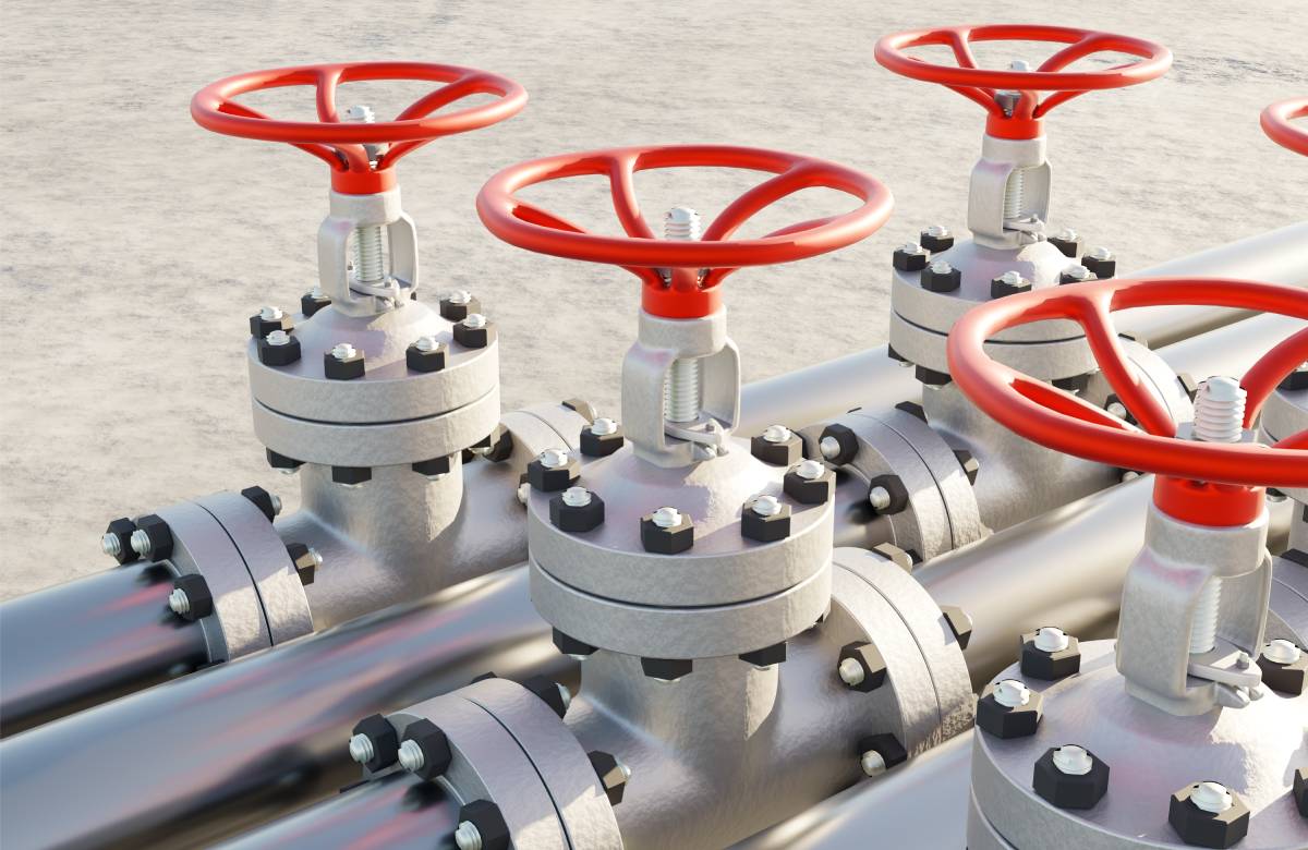 Фото: Shutterstock