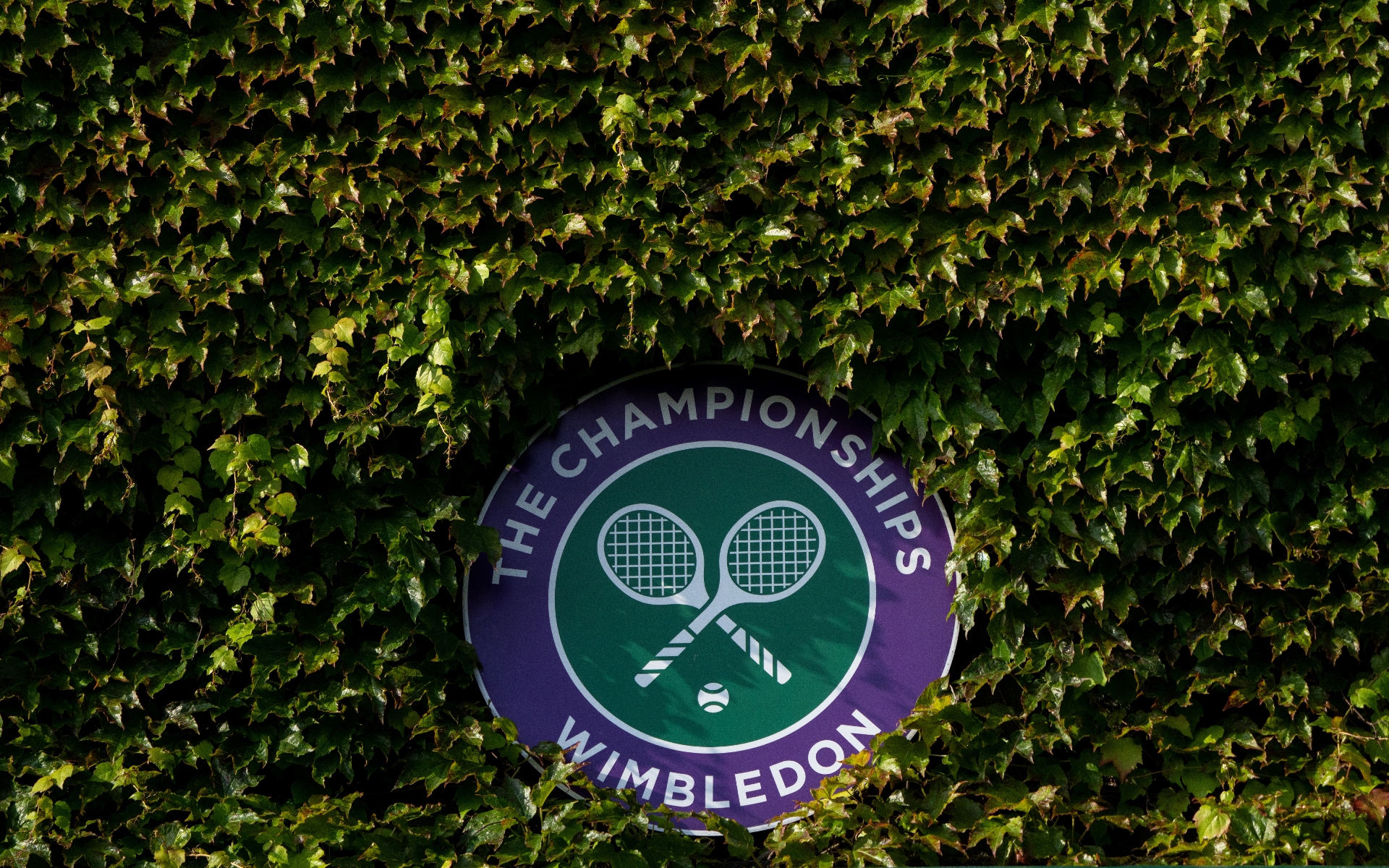 Фото:AELTC/Thomas Lovelock - Pool/Getty Images