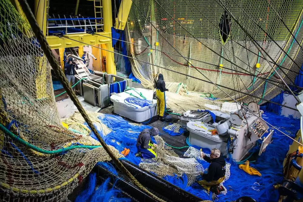 Ассоциация добытчиков минтая