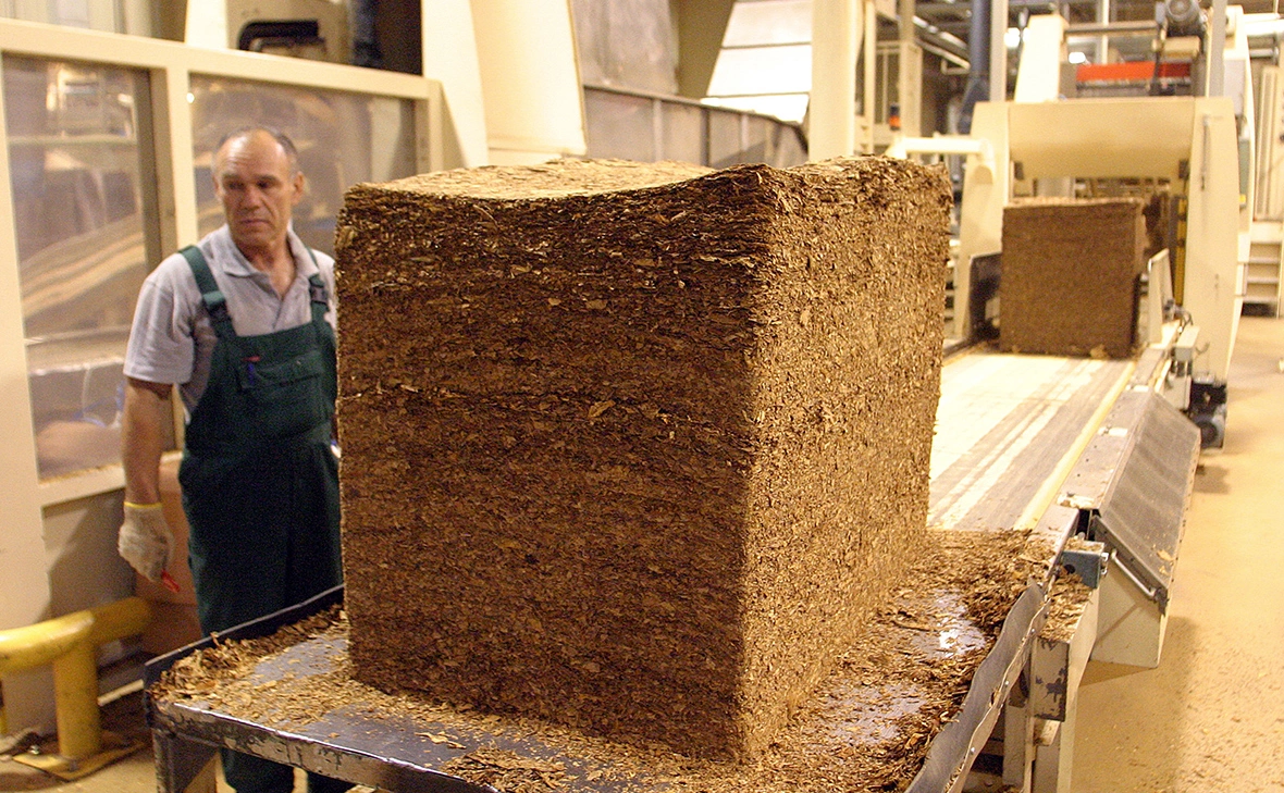 Дмитрий Рогулин / ТАСС