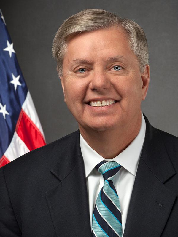 Официальный портрет Линдси Грэма в Сенате, 2013 год