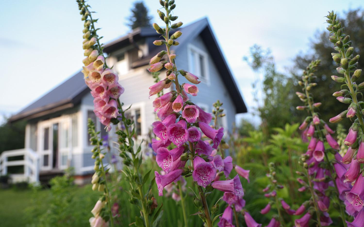 Фото: Андрей Титов / ТАСС