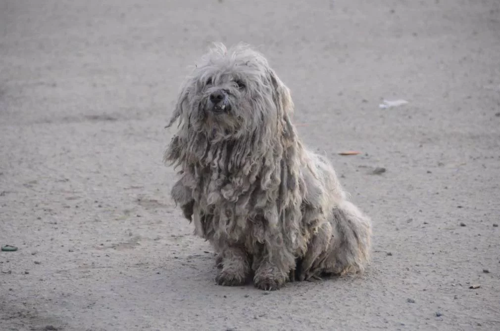 РБК Приморье