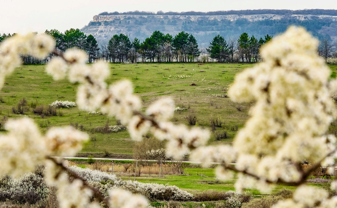 Сергей Мальгавко / ТАСС