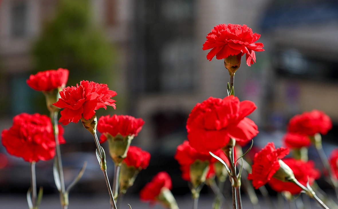 Арина Антонова / ТАСС