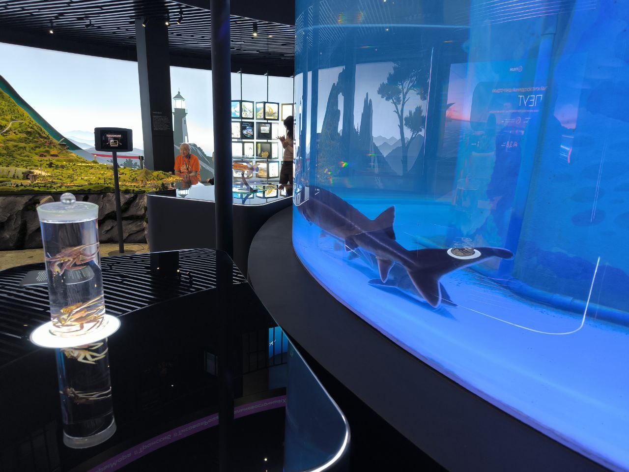 Фото: РБК Приморье