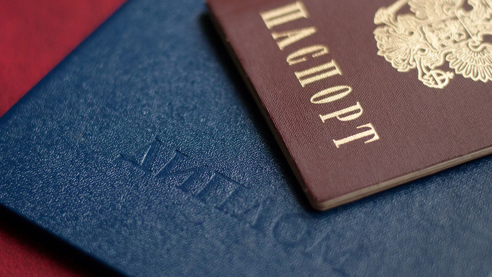 Девочка-вундеркинд Алиса Теплякова получила диплом психолога. Ей 13 лет