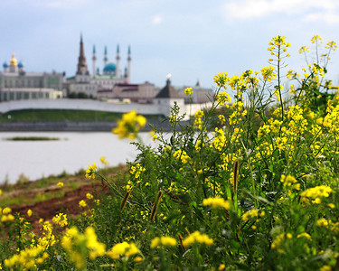 Казанский Кремль сделает бесплатным посещение музеев на 1 день