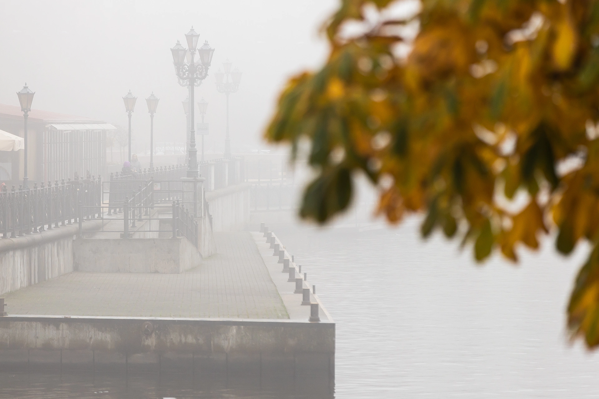 Александр Подгорчук