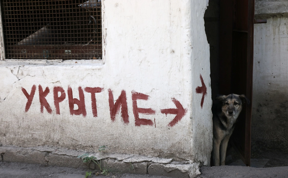 Владимир Гердо / ТАСС