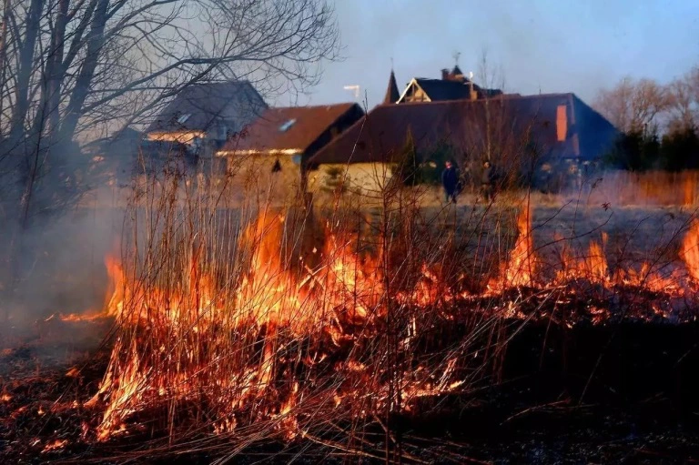 РБК Приморье