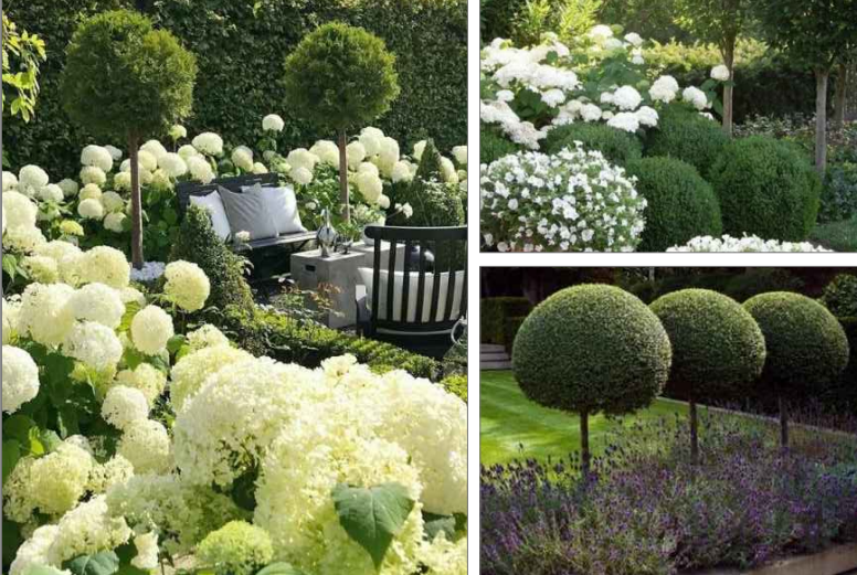 Визуализация проекта сада-трансформера на Синем мосту в 2025 году