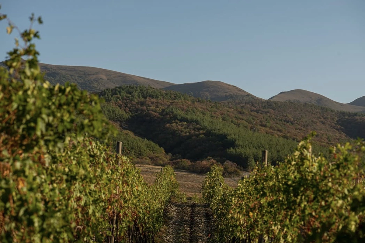 «Усадьба Маркотх»