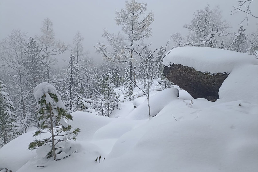 Фото: Алексей Исиченко / РБК