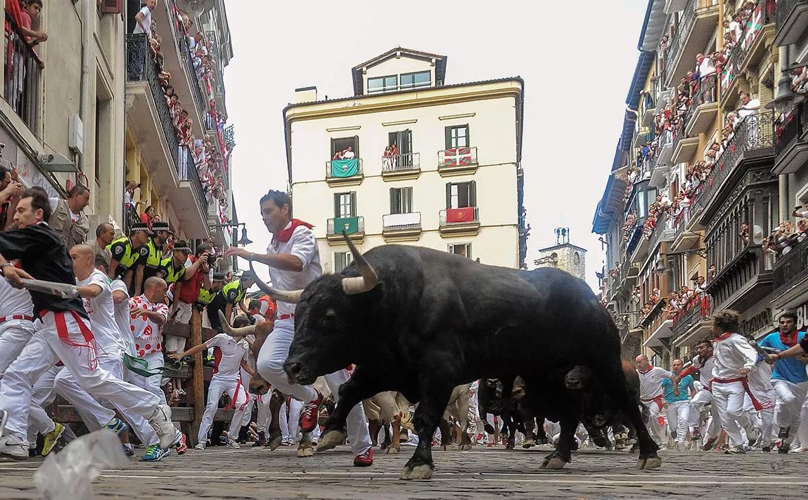 David Ramos / Getty Images