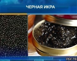Рейд на петербургском рынке: изъято 23 кг черной икры