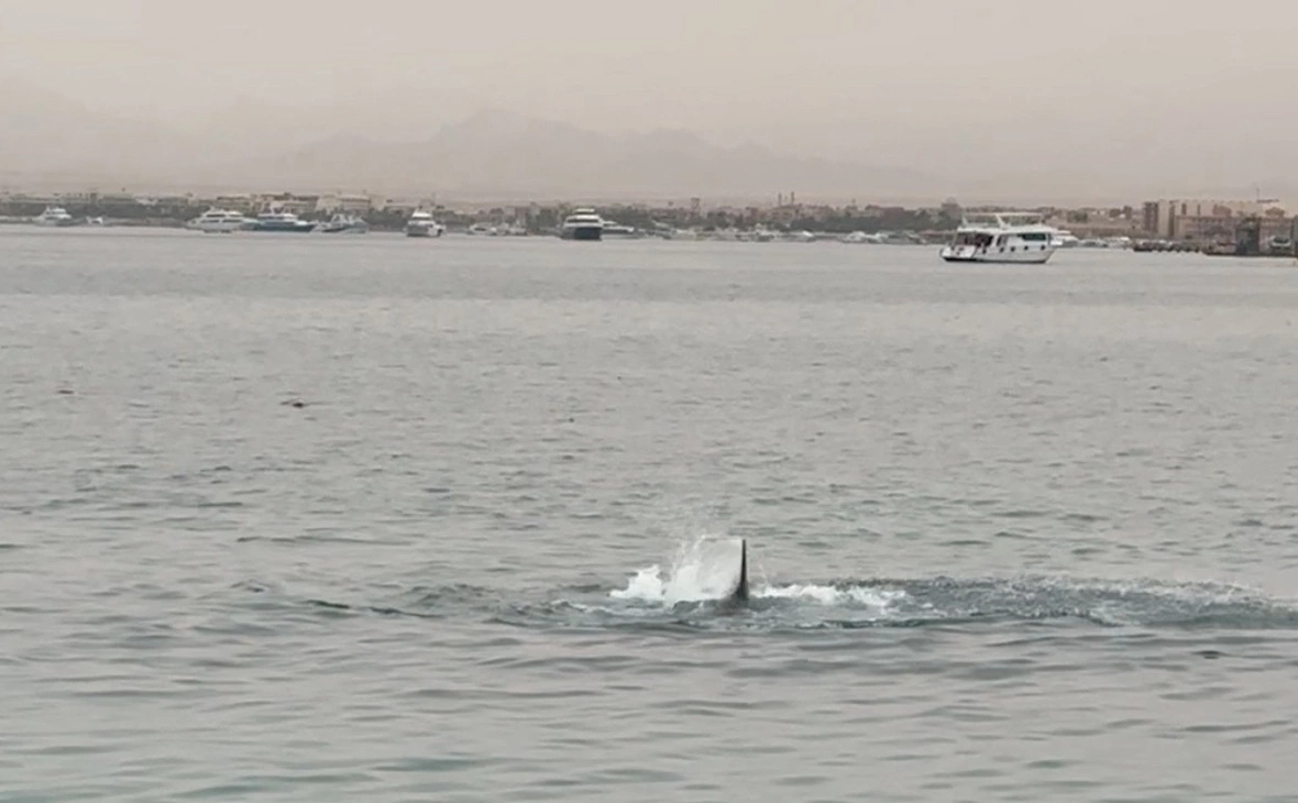 Григорий Катаев / Reuters