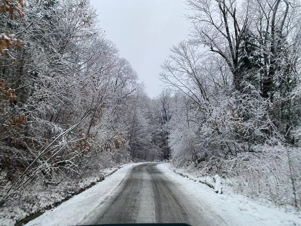 РБК Приморье