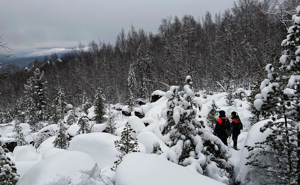 ДПСО «ЛизаАлерт» Красноярского края