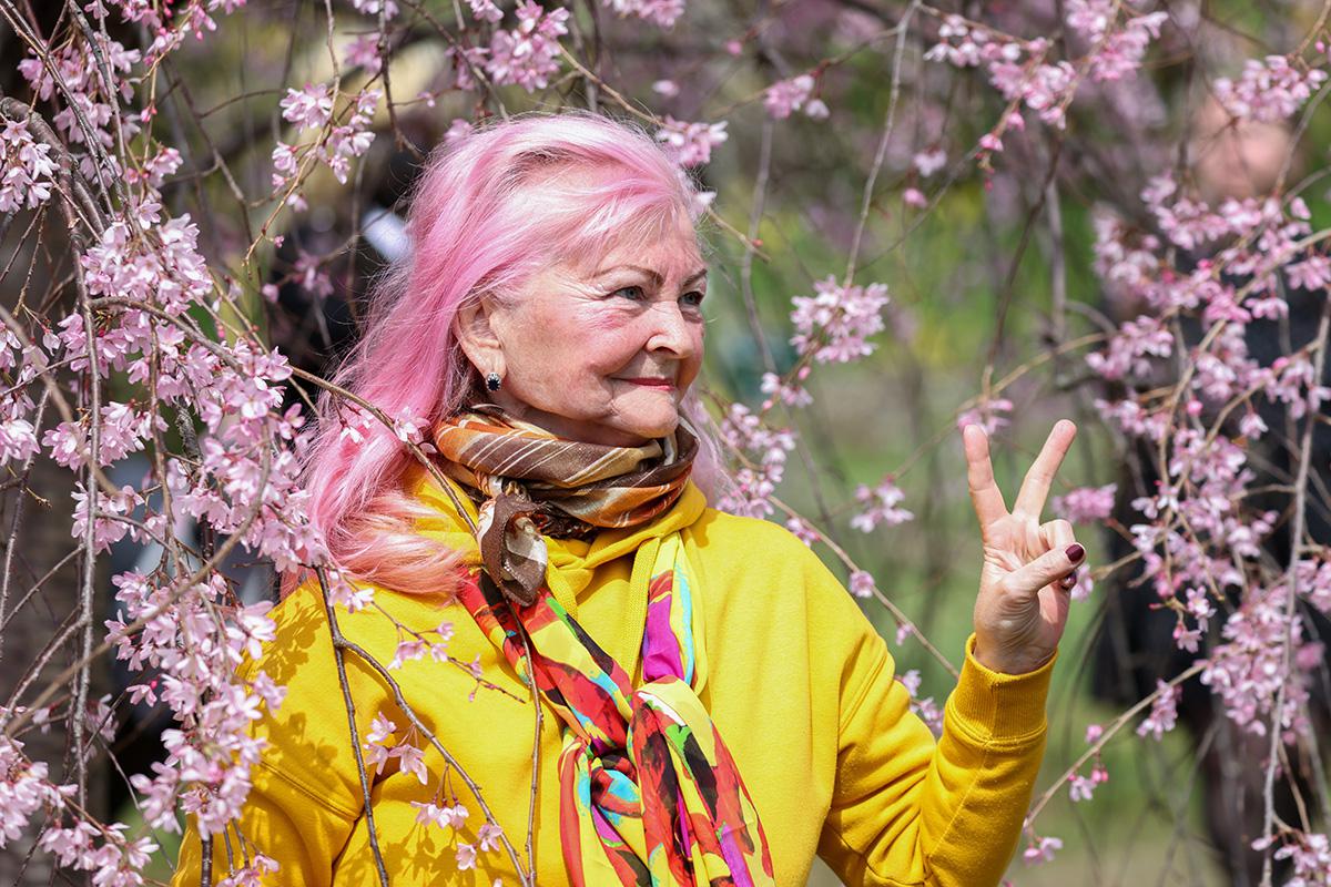 Цветение сакуры в парке «Дендрарий» в Сочи