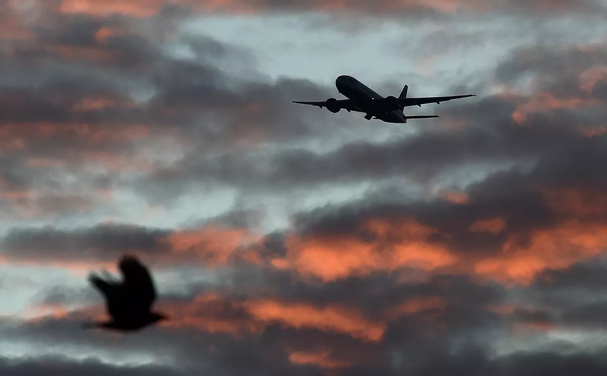 Toby Melville / Reuters