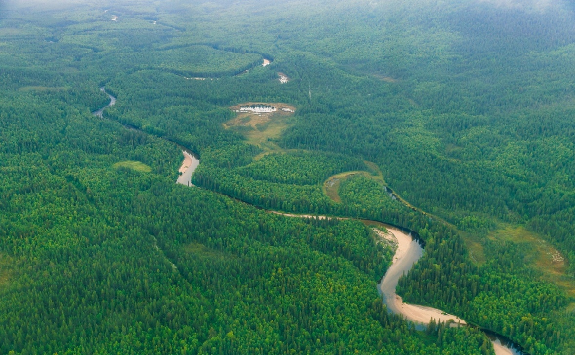 Фото: gov-murman.ru