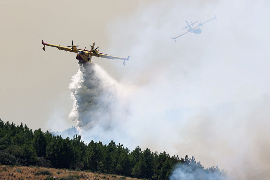 Фото: Juan Medina / Reuters