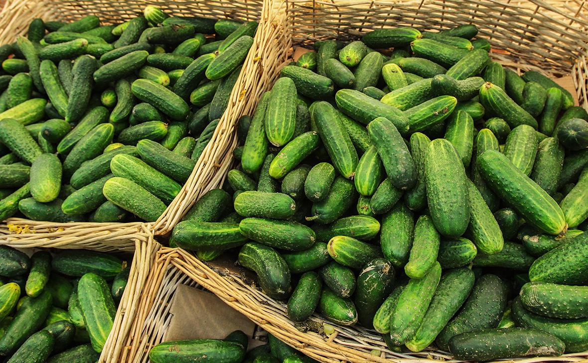 Фото: Екатерина Кузьмина / РБК