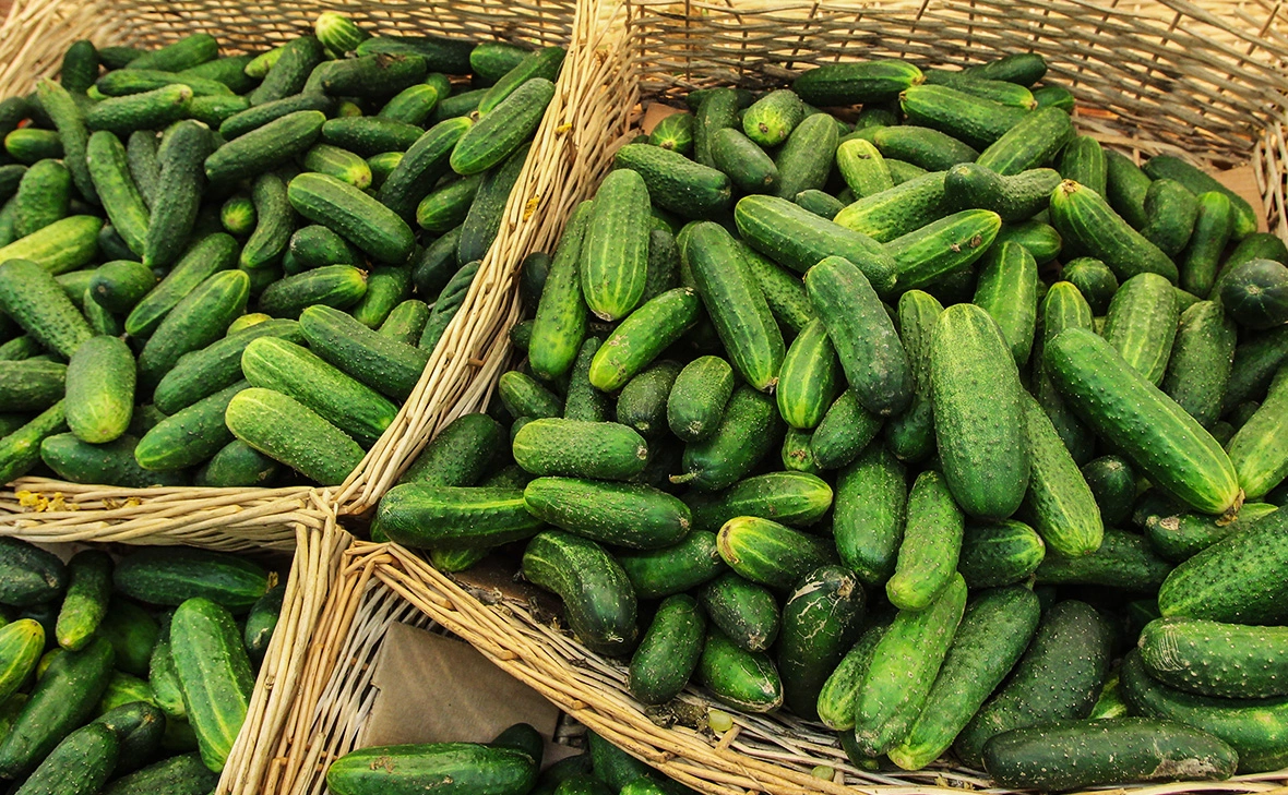 Екатерина Кузьмина / РБК