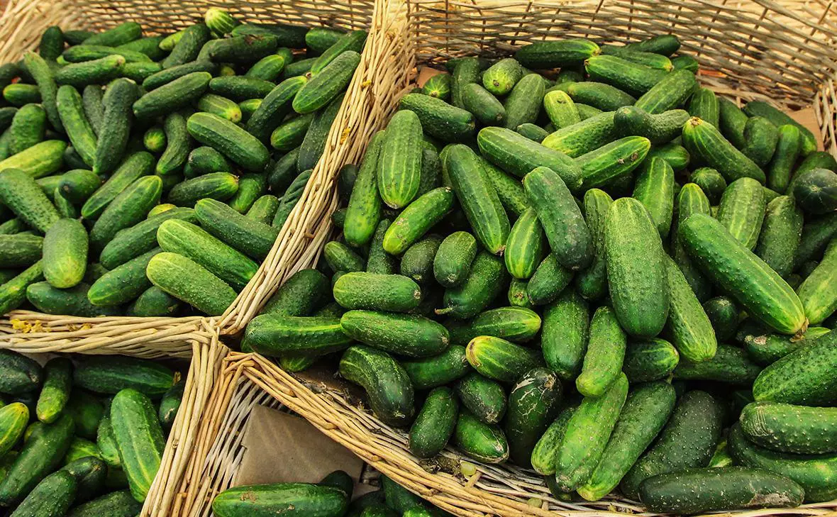 Екатерина Кузьмина / РБК