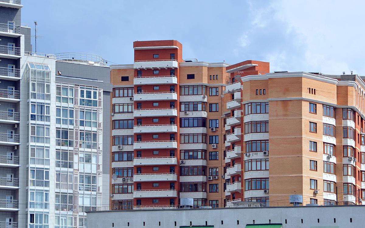 Фото: Alexander Zamaraev / Shutterstock / FOTODOM