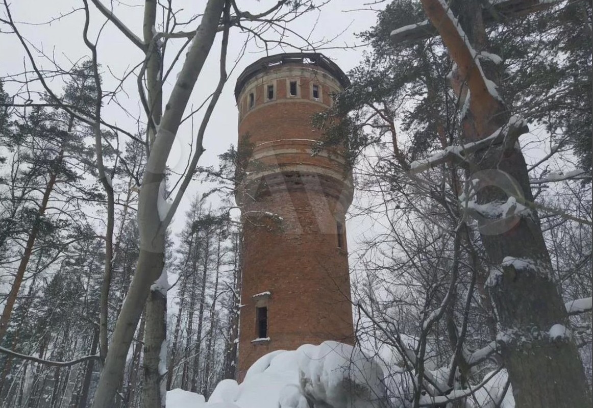 Под Санкт-Петербургом продается дача-небоскрёб — РБК