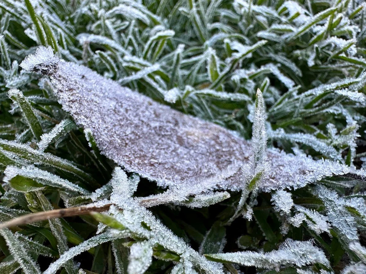 Анастасия Батаршинова, РБК Краснодар