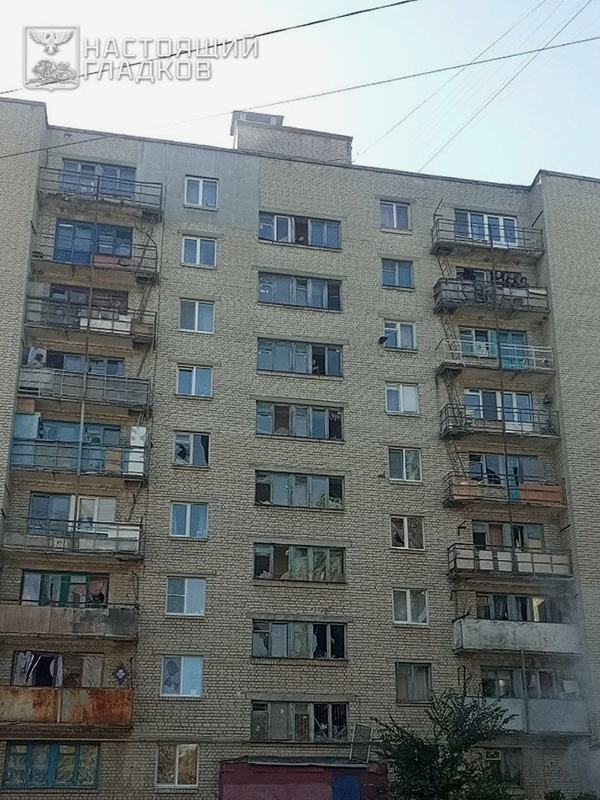 Фото: vvgladkov / Telegram