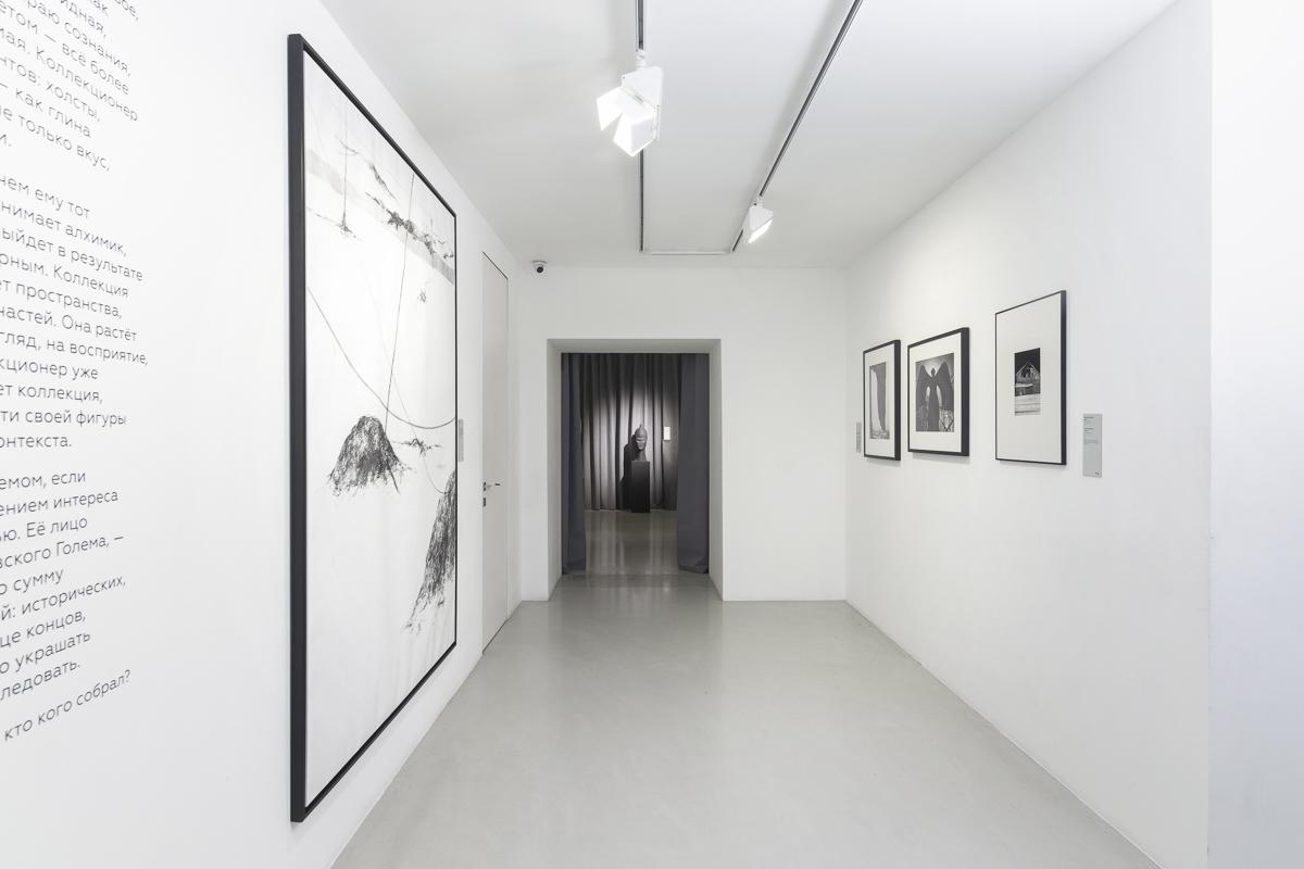 Выставка «Травма и перерождение»