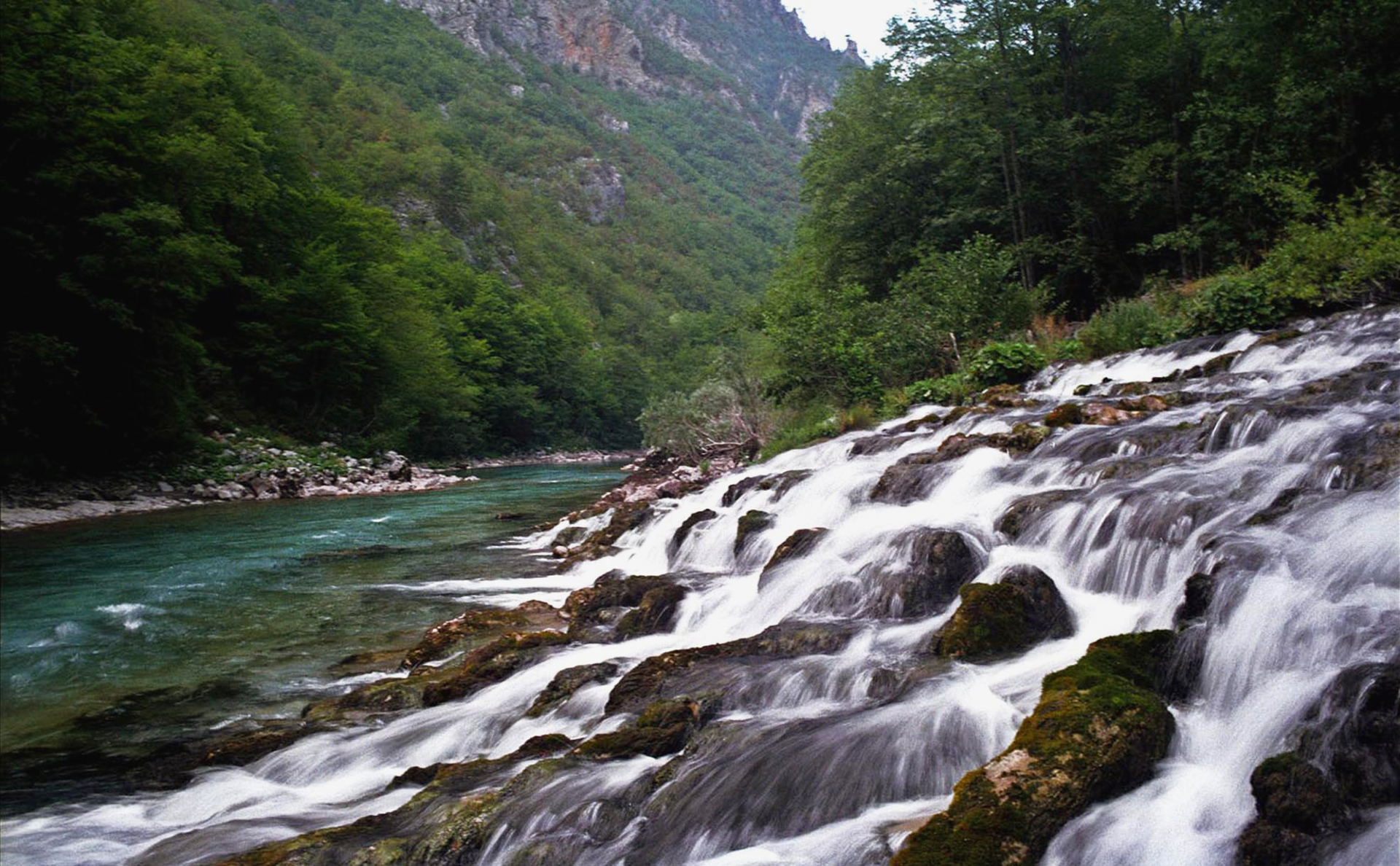 Река Тара в Черногории