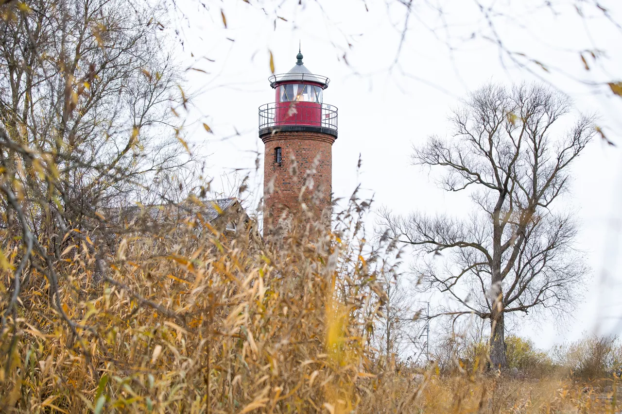 Александр Подгорчук