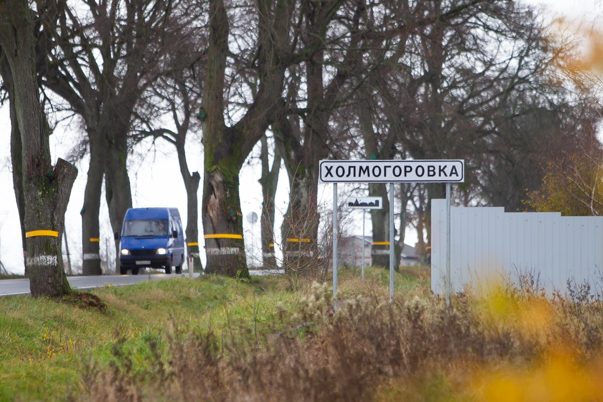 Александр Подгорчук