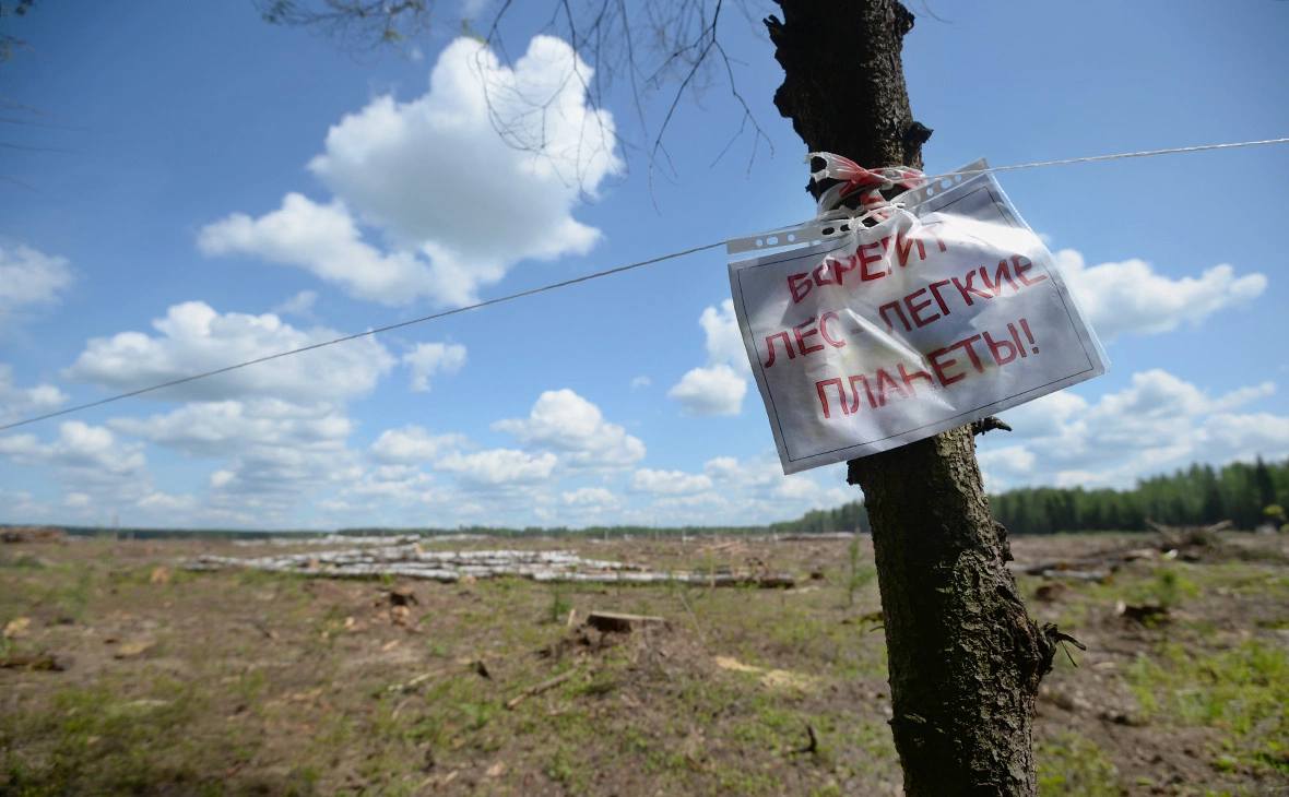 Кирилл Каллиников / РИА Новости