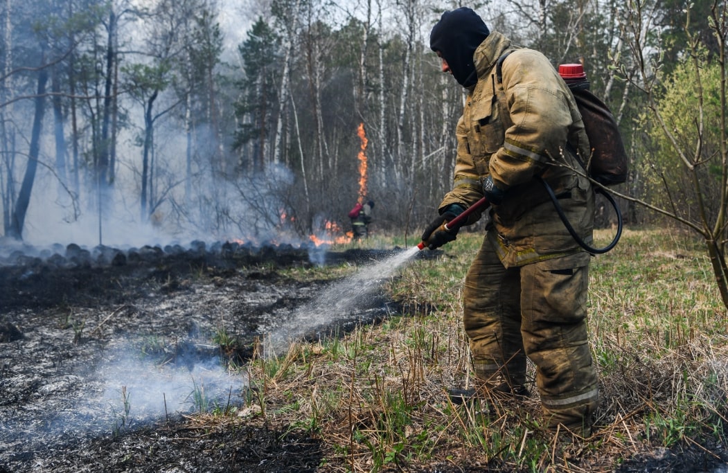 С начала апреля в Тюменской области произошло 179&nbsp;ландшафтных пожаров