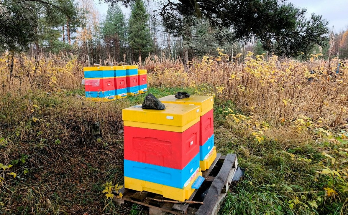 Фото: Минэкономразвития Карелии/ vk.com