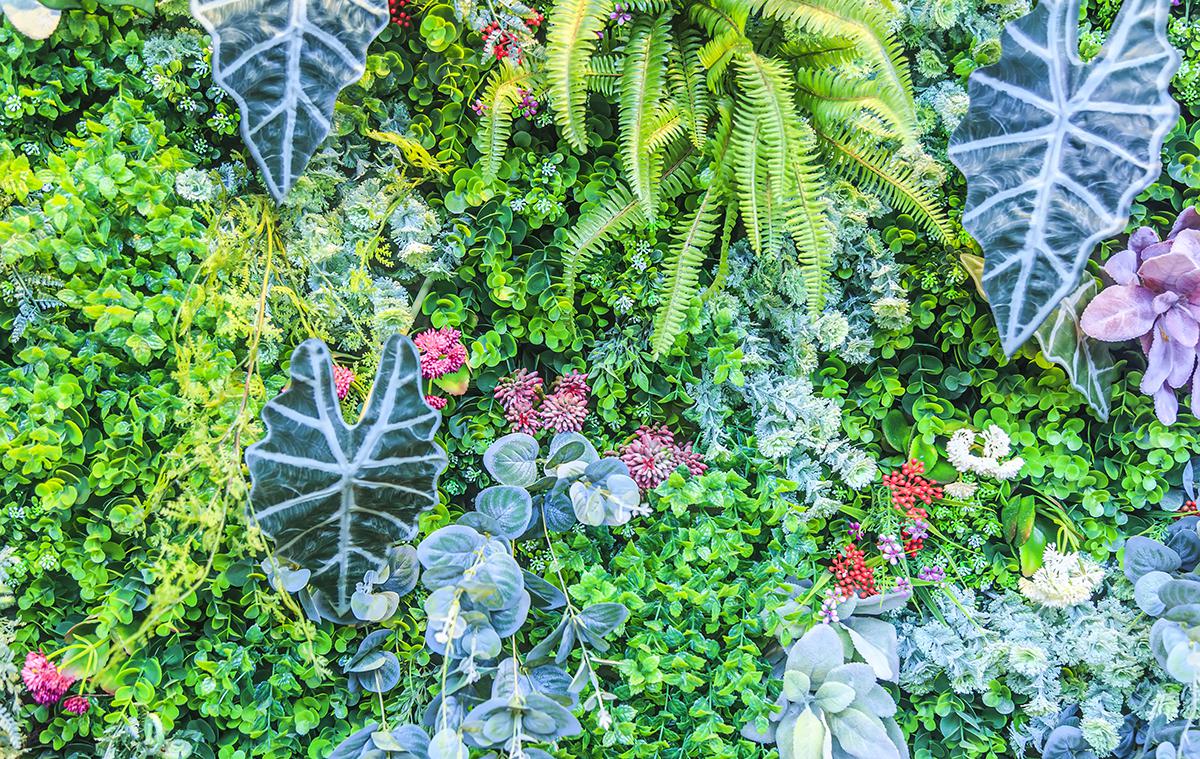 Вертикальное озеленение: что это такое, как сделать и подобрать растения