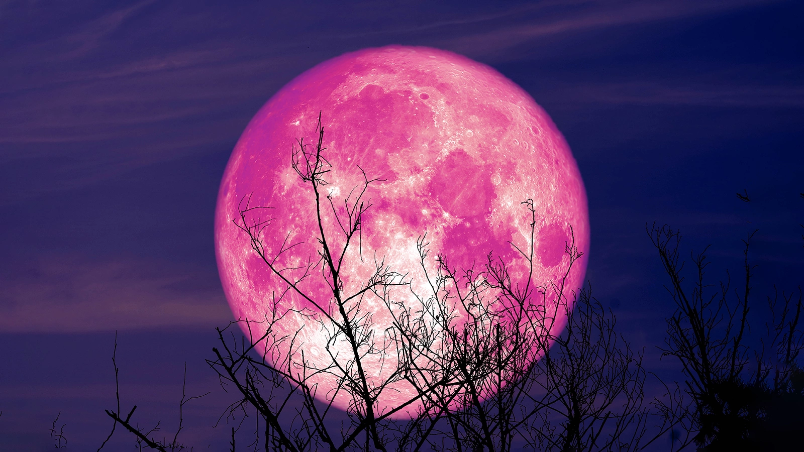 «Розовая Луна»