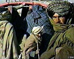 Террористов "Аль-Кайеды" приговорят к 62,5 тыс. лет тюрьмы