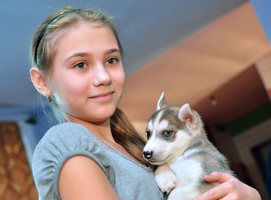 В конце 2015 года Путин подарил щенка хаски школьнице из села Белый Яр в Республике Хакасия. Девочка написала письмо президенту, в котором рассказала, что мечтает о собаке, но ее семья не может себе это позволить