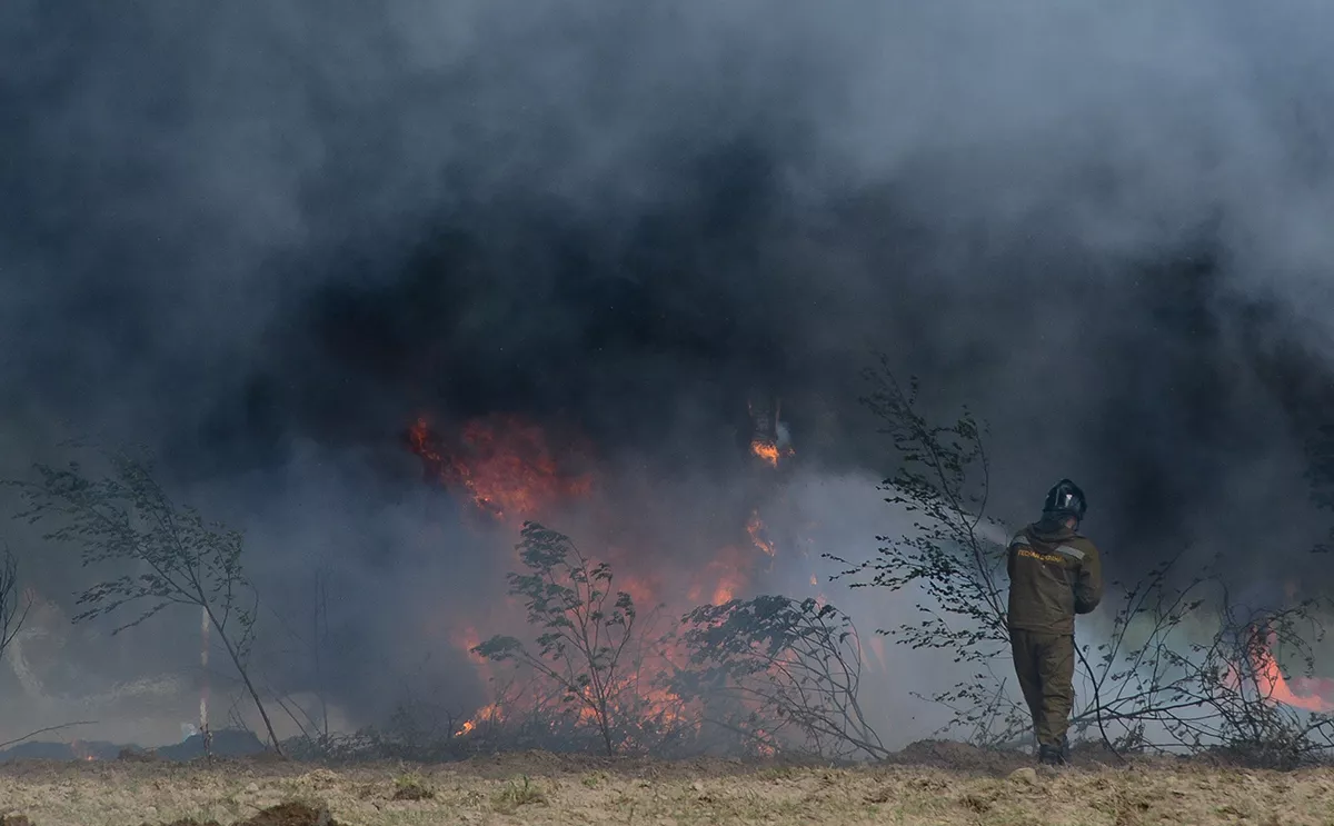 Григорий Сысоев / РИА Новости